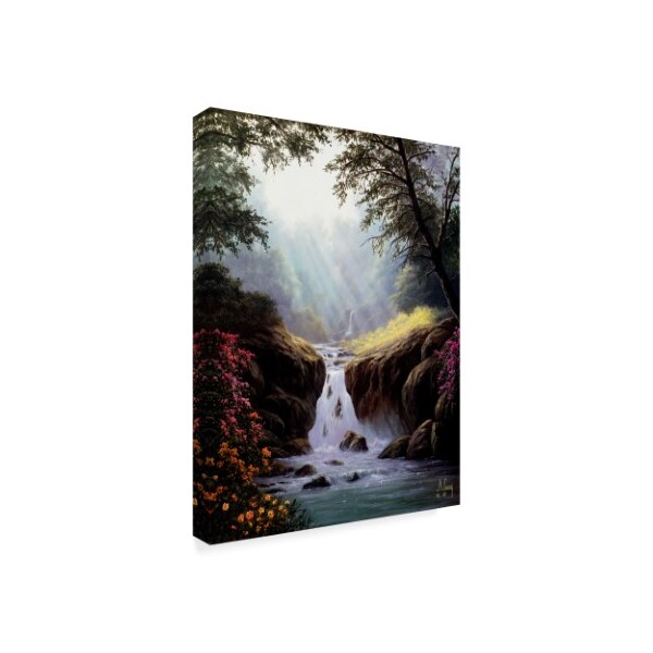 Anthony Casay 'Light On A Waterfall' Canvas Art,24x32